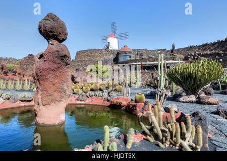 Jardin de Cactus, Guatiza, Lanzarote, Kanarische Inseln, Spanien Stockfoto