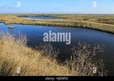 Pools von Wasser zwischen Kiesstrand und Flut Verteidigung Wand, in der Nähe von Schindel Street, Suffolk, England, UK Stockfoto