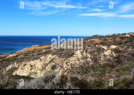 Auf einer Klippe, die Anzeigen von den Klippen und den Pazifischen Ozean im Torrey Pines Naturschutzgebiet in San Diego, Kalifornien, USA Stockfoto