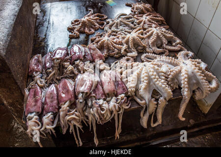 Frische Meeresfrüchte (Tintenfisch, Tintenfisch) zum Verkauf in Darajani Markt auf nassem Holz Schreibtisch, Fang des Tages, Stone Town, Sansibar, Tansania, Afrika Stockfoto
