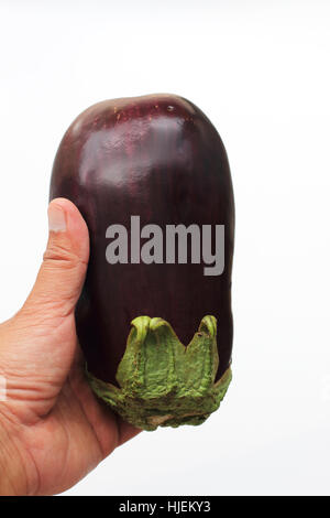 lila Aubergine, Aubergine oder Aubergine auf weißen Hintergrund isoliert Stockfoto