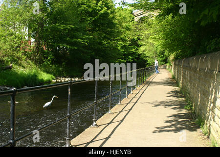 Architektur und Natur Parks in Edinburgh, Scotland, UK Stockfoto