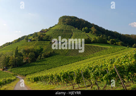 Weinkellerei in Stollberg, Handthal Oberschwarzach, Steigerwald, Unterfranken, Franken, Bayern, Deutschland Stockfoto