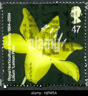 Großbritannien - ca. 2004: Eine gebrauchte Briefmarke aus dem Vereinigten Königreich, ein Bild von einer Lilium 'Lemon Pixie' Blume, ca. 2004. Stockfoto