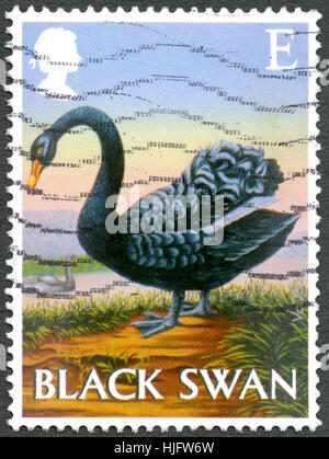 Großbritannien - CIRCA 2003: Eine gebrauchte Briefmarke aus dem Vereinigten Königreich, Darstellung zur Veranschaulichung der ein Black Swan, circa 2003. Stockfoto