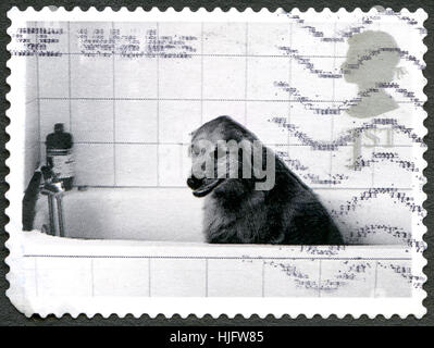 Großbritannien - ca. 2001: Eine gebrauchte Briefmarke aus dem Vereinigten Königreich, ein Bild von einem Hund in einem Bad, ca. 2001. Stockfoto