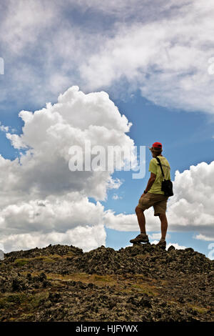 WY02145-00... WYOMING - Wanderer auf dem Mount Washburn Trail im Yellowstone National Park. Stockfoto