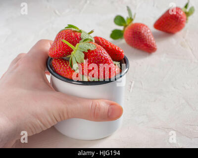 Ihre Hand hält Metallschale mit Erdbeeren. Frische rote Erdbeeren in Metall-Tasse. Erdbeere im rustikalen Cup auf orientalische weißen Hintergrund Stockfoto