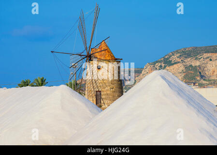 Rosa Flamingos in den Salinen, Trapani, Sizilien, Italien. Stockfoto