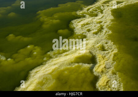 Lebendige Farben und markanten Felsformationen in die jenseitige Landschaft der Dalol, Äthiopien in der Wüste Danakil-Senke Stockfoto