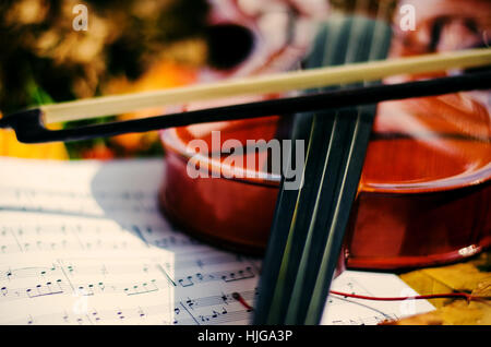 Violine und Notizen auf Boden mit gelben Herbstlaub hautnah. Stockfoto