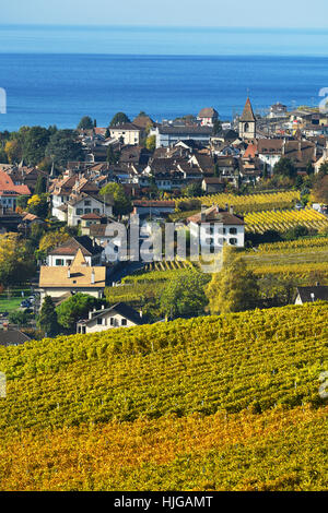 Weinberge im Herbst mit Blick auf die Cully Winzerdorf, Lavaux, Kanton Waadt, Schweiz Stockfoto