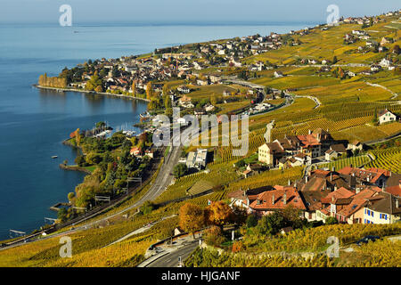 Weinberge im Herbst mit Blick auf die Cully Winzerdorf, Lavaux, Kanton Waadt, Schweiz Stockfoto