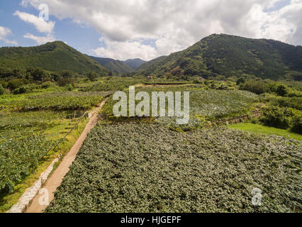 Luftaufnahme des Kyodogawa Schwemmfächer, Yamanashi-Präfektur, Japan Stockfoto