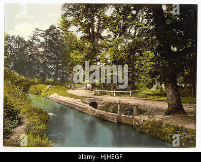 Bradley Woods, Newton Abbott, England - Photochrom XIXth Jahrhundert Stockfoto