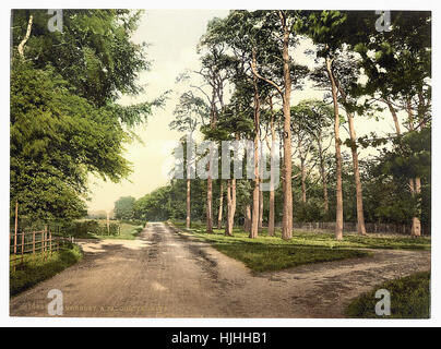 Royal Military College, eine Lieblings-Drive, Sandhurst, Camberley, England - Photochrom XIXth Jahrhundert Stockfoto