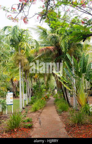 Bay Koala Bungalowdorf, Horseshoe Bay-Magnetic Island-Queensland-Australien Stockfoto