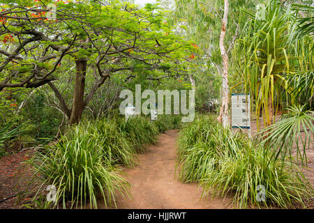 Bay Koala Bungalowdorf, Horseshoe Bay-Magnetic Island-Queensland-Australien Stockfoto