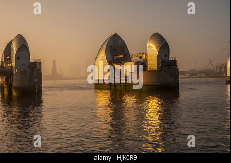 Die Thames Barrier in Woolwich Kent. im Abendlicht. Stockfoto