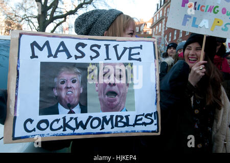 Frauen Anti-Trump März. Eine Frau hält ein Plakat mit kommentierten Fotos von Trump und Farage und die Worte "Massive Cockwombles". Stockfoto