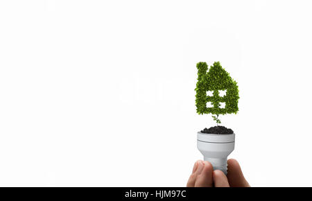 Hand mit Glühbirne mit Baum in Nahaufnahme Stockfoto