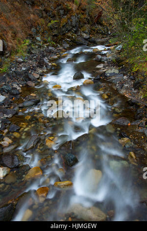 Wallowa Fluss entlang Chief Joseph Bergweg, Wallowa-Whitman National Forest, Oregon Stockfoto