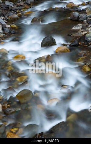 Wallowa Fluss entlang Chief Joseph Bergweg, Wallowa-Whitman National Forest, Oregon Stockfoto