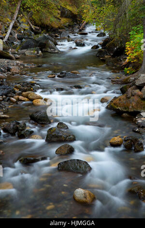 Wallowa Fluss entlang Chief Joseph Bergweg, Wallowa-Whitman National Forest, Oregon Stockfoto