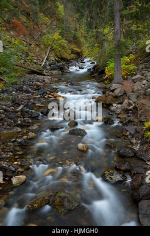 Wallowa Fluss entlang Chief Joseph Bergweg, Wallowa-Whitman National Forest, Oregon Stockfoto