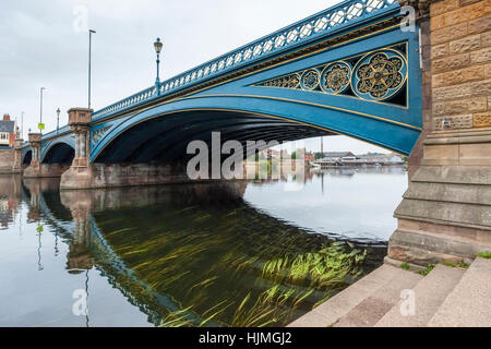 Große Menge von Schilf in den Fluss Trent an der Trent Brücke, Nottingham, England, UK wachsende Stockfoto