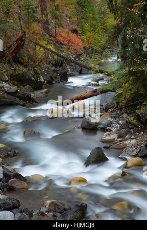 Wallowa Fluss entlang Chief Joseph Bergweg, Wallowa-Whitman National Forest, Oregon Stockfoto