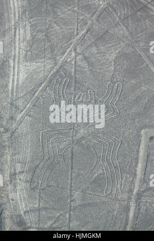 Peru, Nasca, Luftaufnahme der Geoglyphen von Nasca, die Spinne Stockfoto