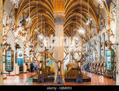 BUDAPEST, Ungarn - 23. Februar 2016: Das Innere der Burg Vajdahunyad in Budapest. Stockfoto