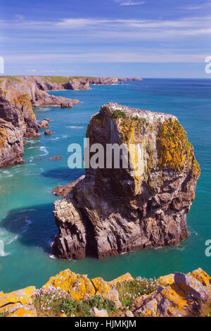 Stapeln Sie, Felsen, Pembrokeshire, West Wales, UK Stockfoto