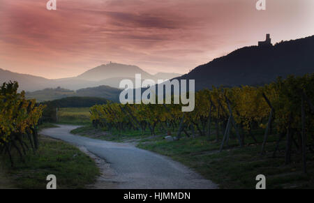 Burg in Dambach la Ville, Elsass Stockfoto