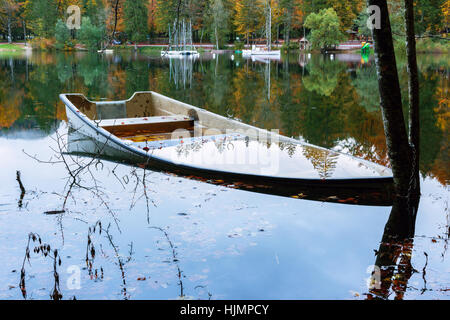 Wunderschöne Herbstlandschaft am Bohinj See, Nationalpark Triglav, Julischen Alpen, Slowenien Stockfoto