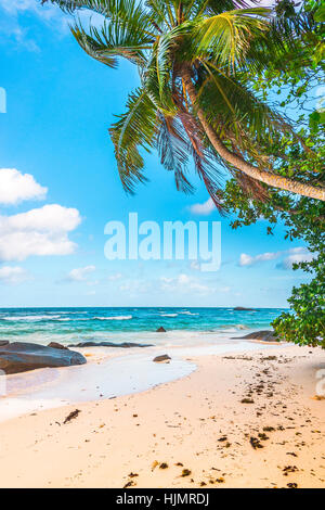 Strand der Seychellen-Insel Mahé, Küste in Beau Vallon Stockfoto