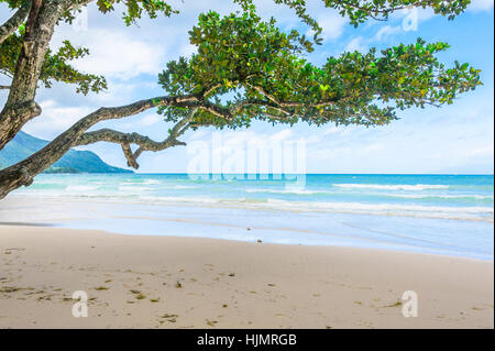 Strand der Seychellen-Insel Mahé, Küste in Beau Vallon Stockfoto