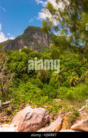 Berg Morne Blanc der Seychellen-Insel Mahé, Küste bei Port Glaud Stockfoto