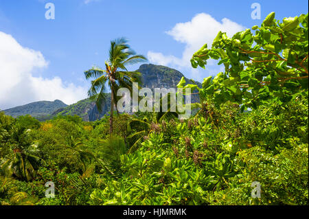 Berg Morne Blanc der Seychellen-Insel Mahé, Küste bei Port Glaud Stockfoto