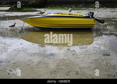 Nahaufnahme eines Bootes in St Ives Hafen, Cornwall, Werbung selbst fahren Boot zu mieten, mit Möwen erscheinen, dies zu prüfen. Stockfoto