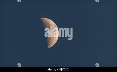 Moonshine und der Mond scheint in den dunklen Abendhimmel.  Half Moon erstrahlt in tiefblauen Abendhimmel. Stockfoto