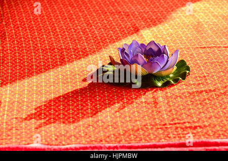 Eine künstliche Wasser isoliert Lilly auf Hintergrund Stockfoto