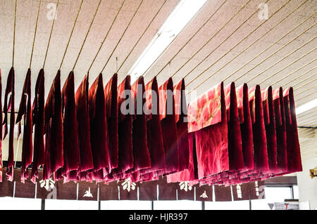 Trampen in Japan Stockfoto