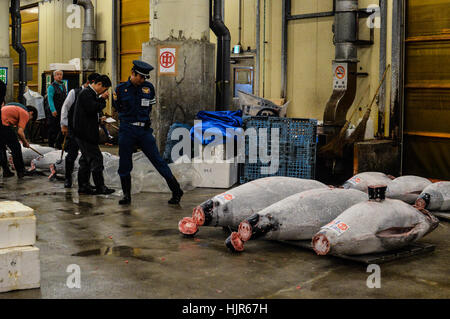 Trampen in Japan Stockfoto