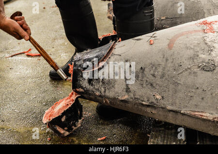 Trampen in Japan Stockfoto