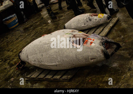 Trampen in Japan Stockfoto