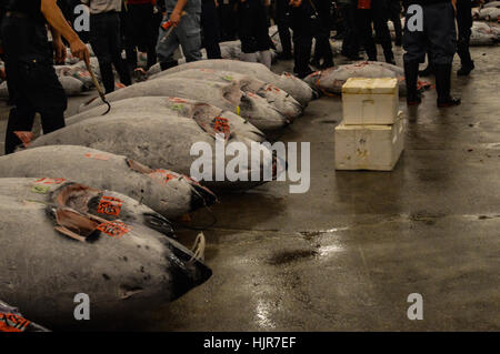 Trampen in Japan Stockfoto