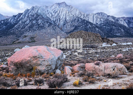 Die Berge der Sierra Nevada in Alabama Hills, nahe der Stadt von Lone Pine, Kalifornien, USA. Felsen im Vordergrund bedeckt mit roten Mikro-Organismen. Stockfoto