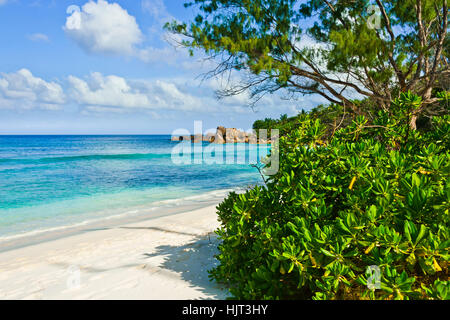 Strand der Seychellen, Insel La Digue, Strand Anse Cocos Stockfoto